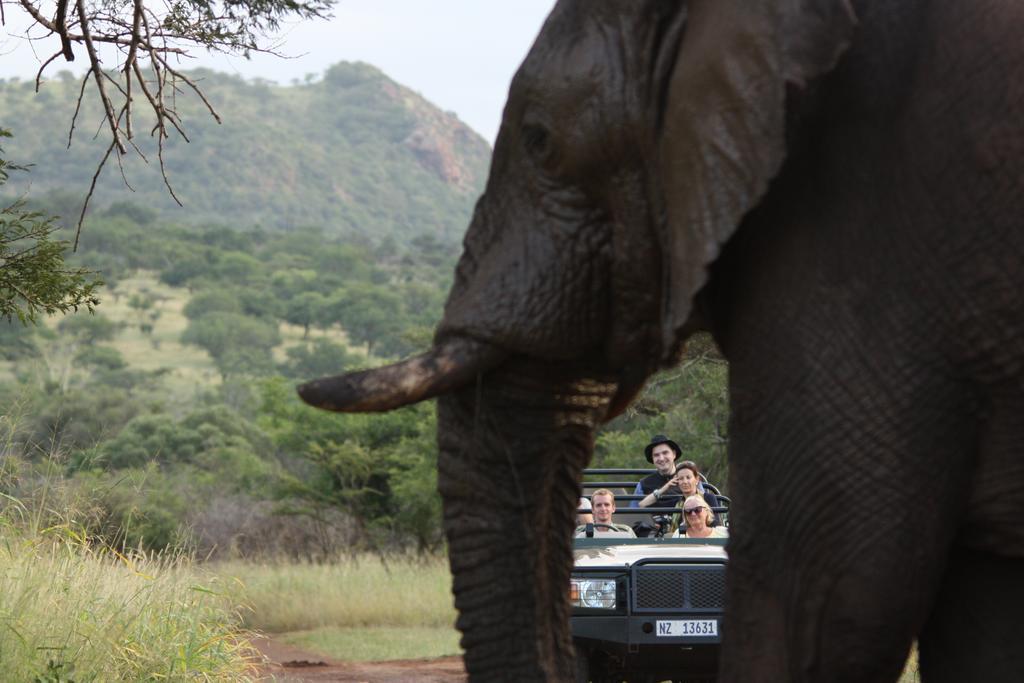 レオパード マウンテン サファリ ロッジ Manyoni Private Game Reserve エクステリア 写真