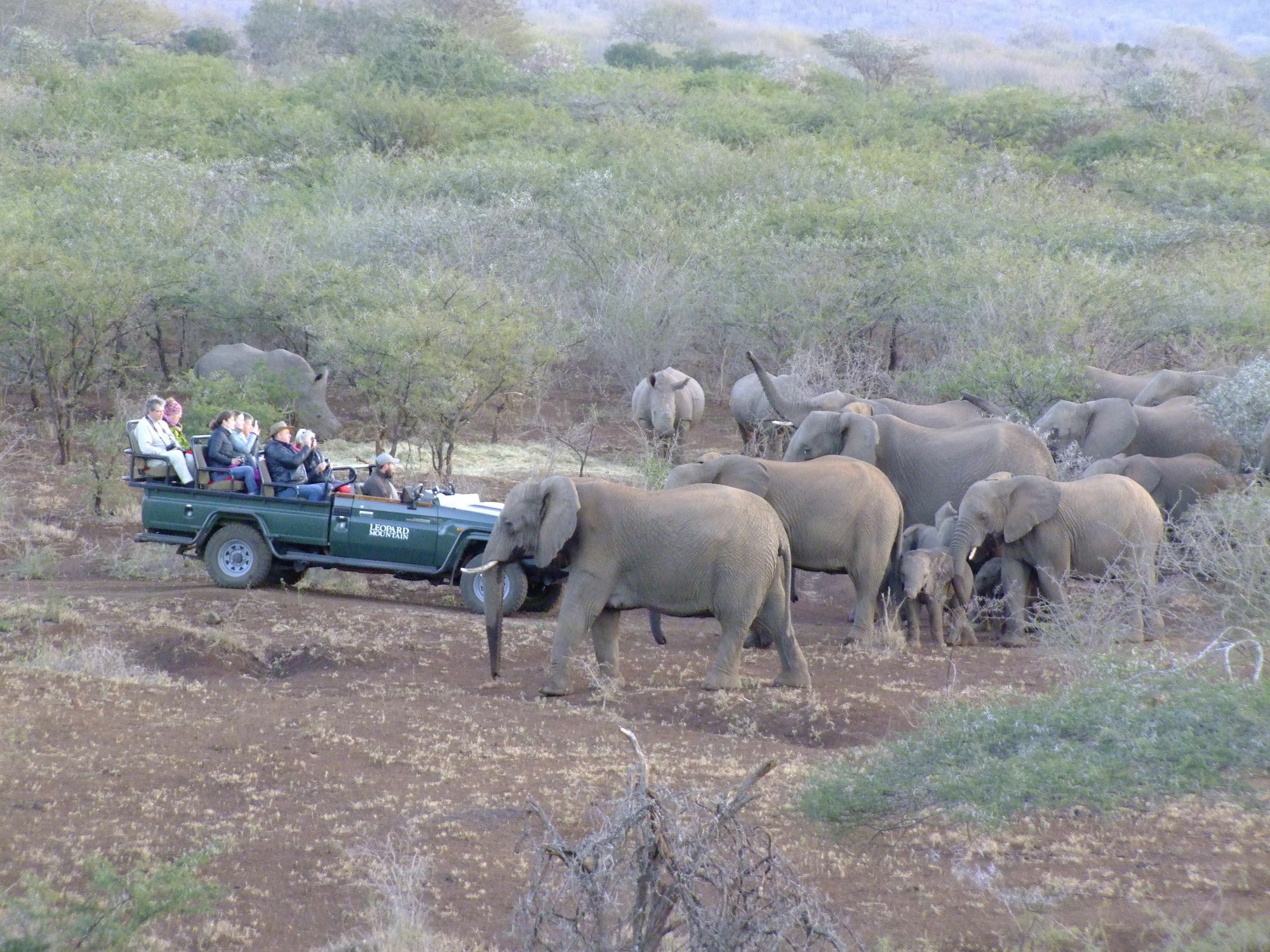 レオパード マウンテン サファリ ロッジ Manyoni Private Game Reserve エクステリア 写真